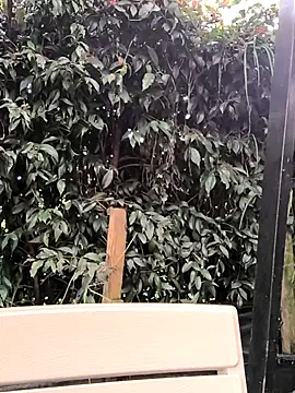 Snapshot of Fun_Everywhere chatting on 03/14/25, 08:38 Fun Everywhere online show from 03/14/25, 08:38