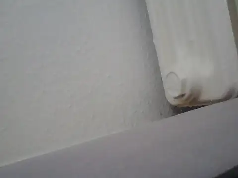 lickthehottie online show from 07/14/26, 10:21