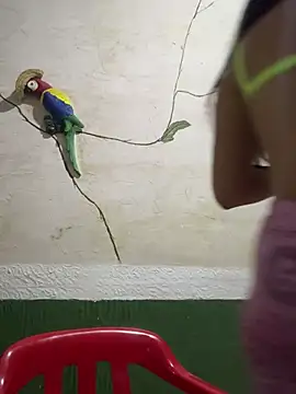 Snapshot of Karla-sexy01 chatting on 01/04/25, 03:07 Karla-sexy01 online show from 01/04/25, 03:07