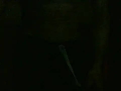 Snapshot of dangerman94 chatting on 10/22/25, 02:34 dangerman94 online show from 10/22/25, 02:34