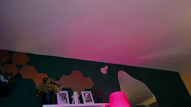 evy orange1 online show from 04/16/26, 01:06