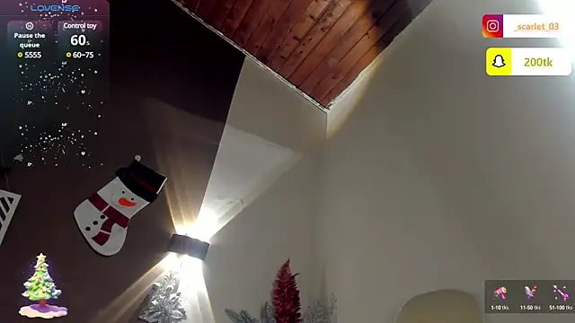 Snapshot of Scarlet_03 chatting on 12/16/24, 11:07 Scarlet 03 online show from 12/16/24, 11:07