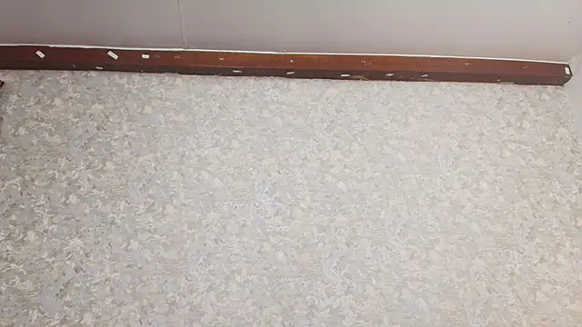 nicol f online show from 03/05/25, 01:31