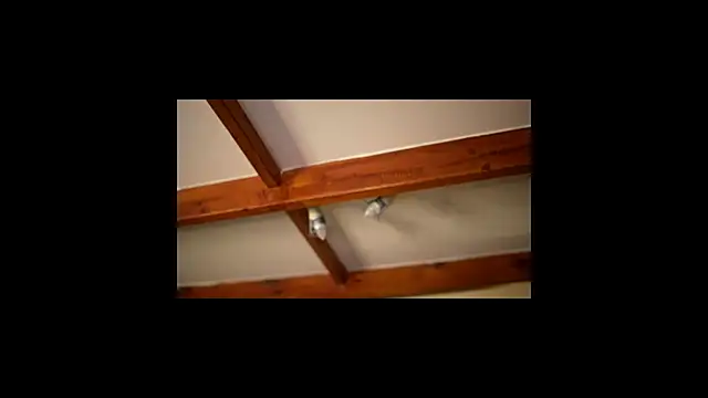 Bellis Perenis online show from 02/26/26, 09:30