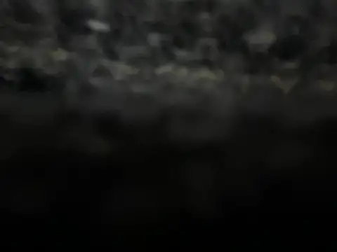  my ass  online show from 02/09/25, 10:00