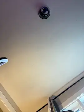 PuckBunny17 online show from 12/16/24, 05:00