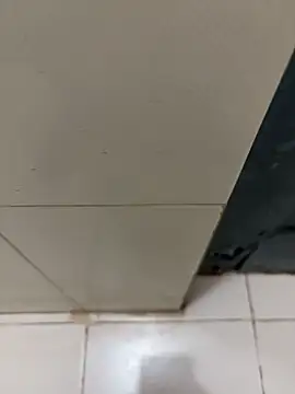 Snapshot of nangakings chatting on 12/17/25, 03:18 nangakings online show from 12/17/25, 03:18