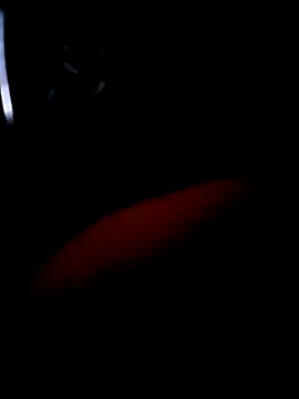 pascalino100 online show from 04/04/26, 12:02