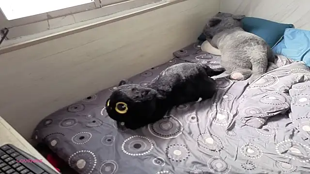 Snapshot of Big19Asia chatting on 09/18/25, 01:18 Big19Asia online show from 09/18/25, 01:18