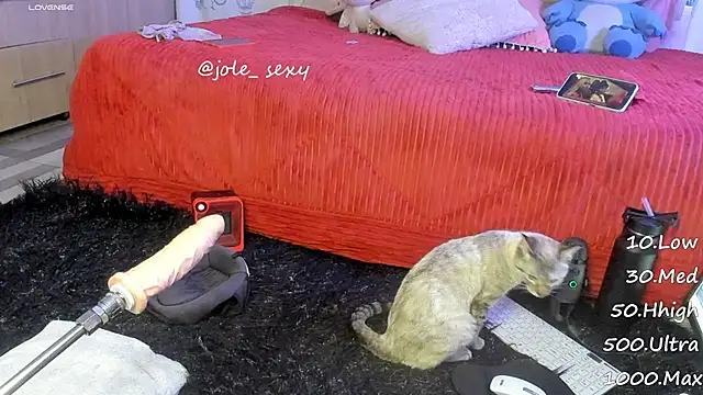 jolee   online show from 01/10/25, 06:31