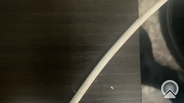 shuai321 online show from 02/13/25, 07:56