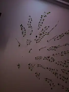 -Sexy Barbie- online show from 02/08/25, 10:39