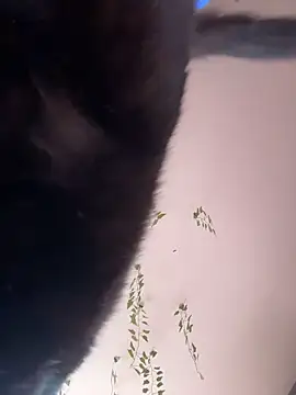 -Sexy Barbie- online show from 10/11/25, 02:33