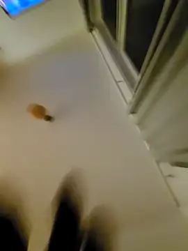 eric69 69 online show from 11/07/25, 12:32