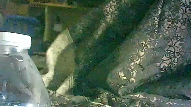 DI4MOND FIR3 online show from 03/17/26, 05:55