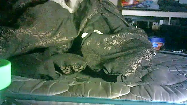 DI4MOND FIR3 online show from 06/11/26, 02:53