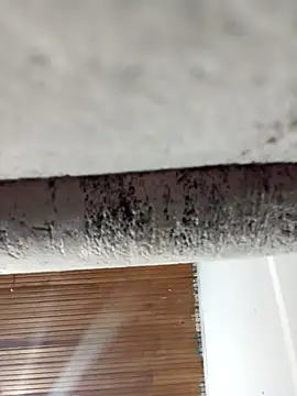 dulce celeste15 online show from 03/31/26, 01:40