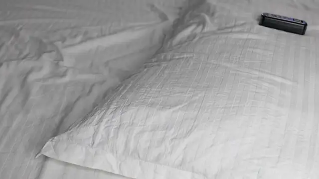 Snapshot of celestara chatting on 12/20/24, 12:05 celestara online show from 12/20/24, 12:05