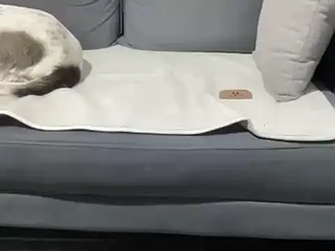 4small4inchlol online show from 03/19/25, 11:25