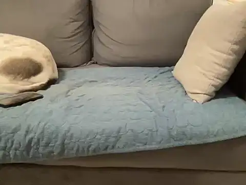 4small4inchlol online show from 02/20/26, 11:49