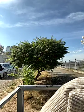 Snapshot of SandraCarter chatting on 09/18/25, 06:04 SandraCarter online show from 09/18/25, 06:04