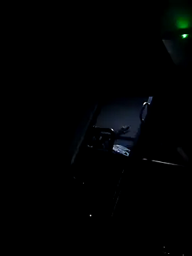 Snapshot of Bullgardenrnc123 chatting on 10/14/25, 07:03 Bullgardenrnc123 online show from 10/14/25, 07:03