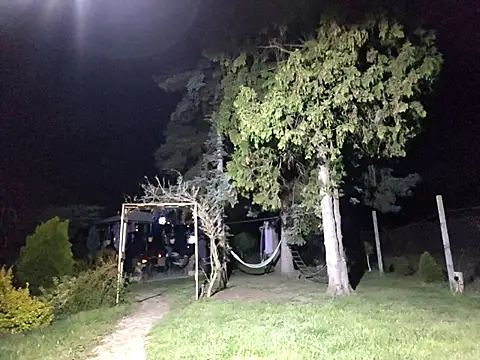 brbrrbrbrb online show from 04/26/26, 08:17