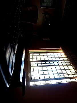 daddy indian online show from 03/20/25, 07:14