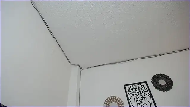 Snapshot of paytonbailey chatting on 03/04/25, 05:03 paytonbailey online show from 03/04/25, 05:03