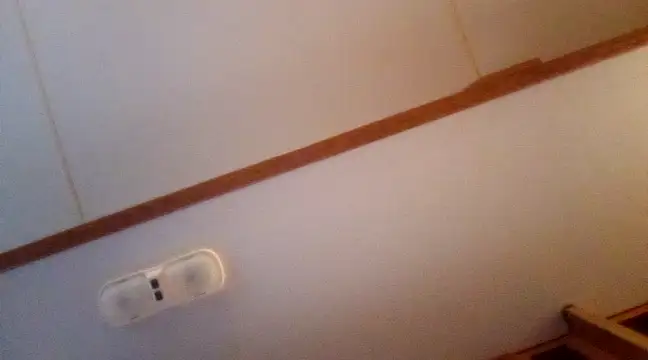 NikkiNFellyy online show from 12/03/24, 10:51