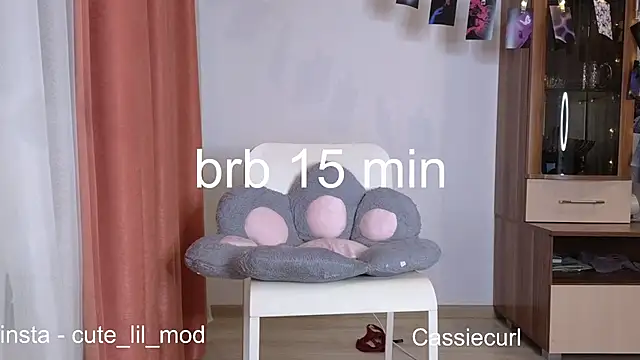 Snapshot of art_phoenix chatting on 12/01/24, 07:36 art phoenix online show from 12/01/24, 07:36