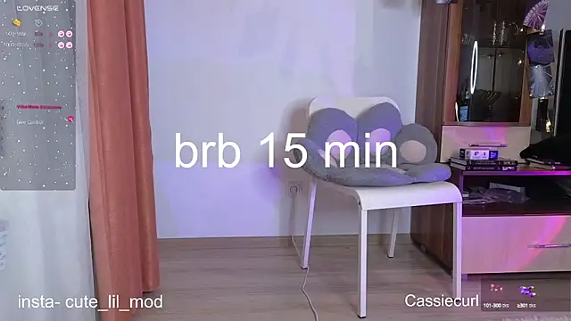 Snapshot of art_phoenix chatting on 02/28/25, 08:07 art phoenix online show from 02/28/25, 08:07