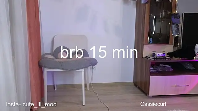 Snapshot of art_phoenix chatting on 03/07/25, 09:06 art phoenix online show from 03/07/25, 09:06