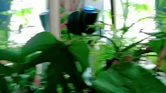 NinasNylonz online show from 04/22/26, 11:39