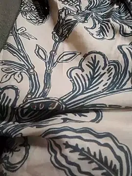 Shikhasexy34 online show from 01/09/26, 01:52