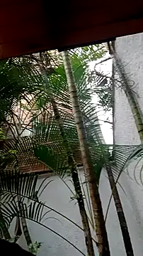 helen kinett online show from 12/27/24, 10:16