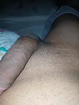 taylorWiiz online show from 11/26/25, 04:57