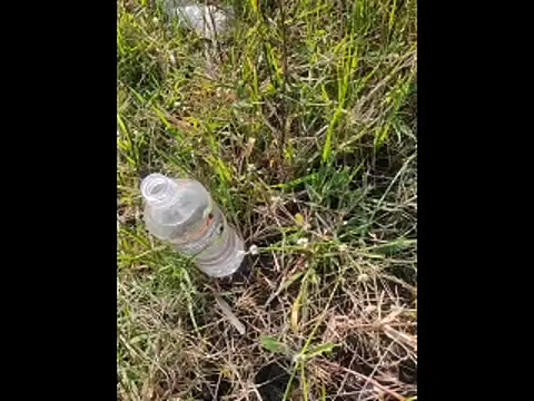 Snapshot of boy_BeardGallery chatting on 11/10/25, 09:52 boy BeardGallery online show from 11/10/25, 09:52