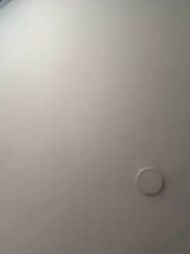 Arilw online show from 10/17/25, 12:08