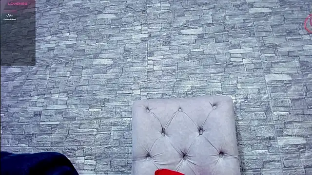 La indiia online show from 12/12/24, 06:10