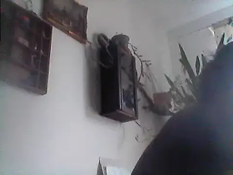 Bigpenis6y online show from 12/29/24, 01:17