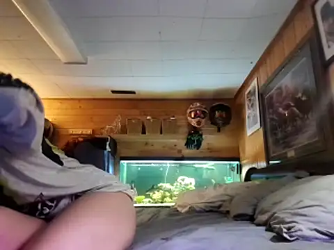 Ryan and Aurora online show from 05/13/26, 04:04
