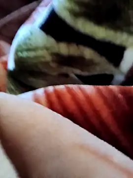 yhona darling online show from 12/19/25, 05:36