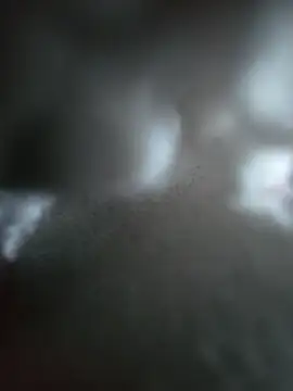 hungarian dick online show from 10/19/25, 10:38