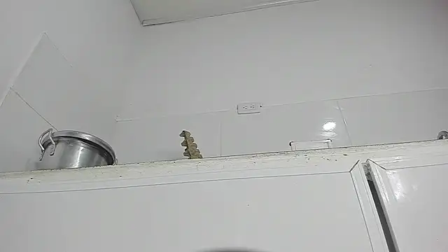 Snapshot of Sophie_sweett19 chatting on 01/23/25, 03:37 Sophie sweett19 online show from 01/23/25, 03:37