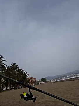 charlye inkkkk online show from 03/02/26, 02:35