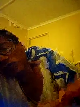 bustybillies online show from 02/20/26, 09:04