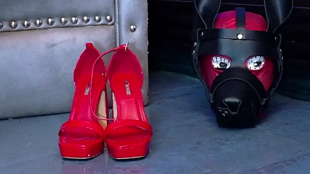 LusstCruella online show from 02/20/26, 03:12