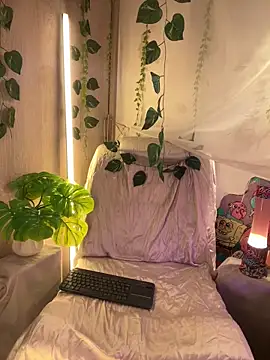 Kitty arts online show from 03/02/25, 05:36