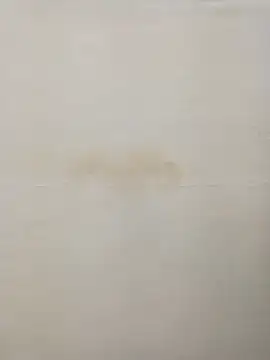 Rina777o online show from 12/30/24, 08:36